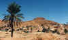 Oasis  Matmata
